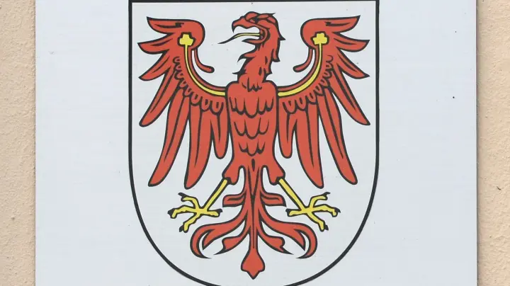 Vorwurf wegen unrechtmäßiger Wappen-Nutzung ‒ was ist dran?