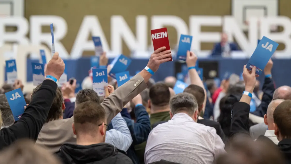 Teilnehmer des Landesparteitags AfD Brandenburg halten bei einer Abstimmung ihre Stimmkarten hoch. Auf dem Parteitag wählt die derzeit größte Oppositions–Partei im Landtag einen neuen Landesvorstand.