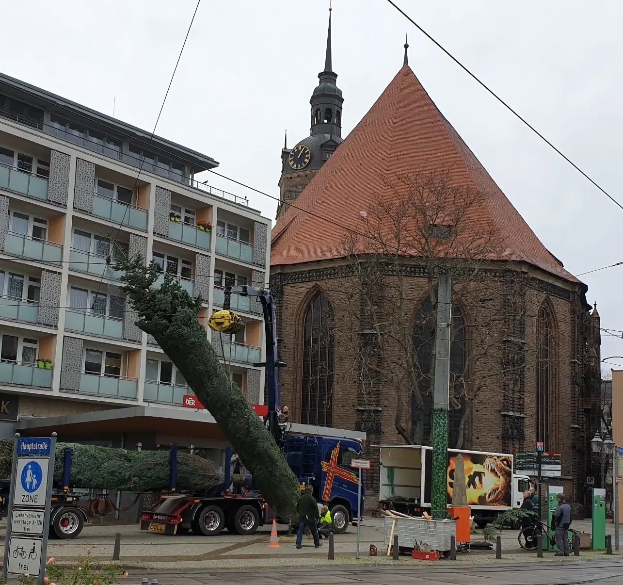 Eine Nordmanntanne vom Werderaner Tannenhof fürs Weihnachtsfest in der Brandenburger Neustadt.