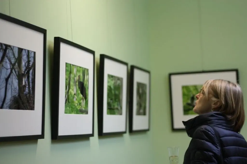 Neben Natrufotografien sind auch zwei präparierte Schwarzstörche zu sehen.