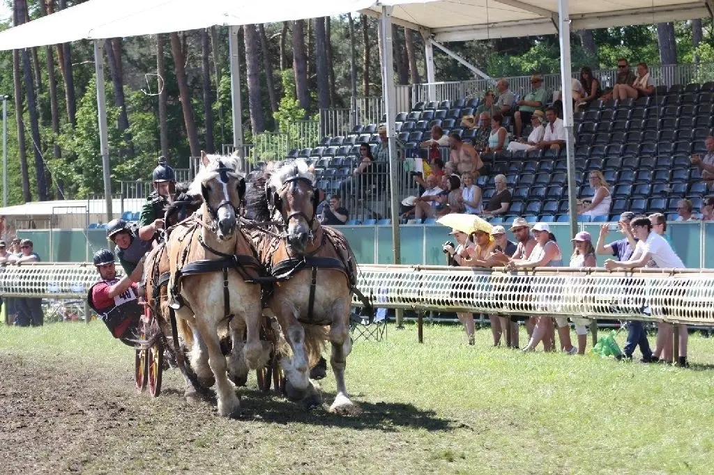 Die rasanten Rennen fielen trotz der hitzigen Temperaturen nicht aus, wurden aber zeitlich eingeschränkt.