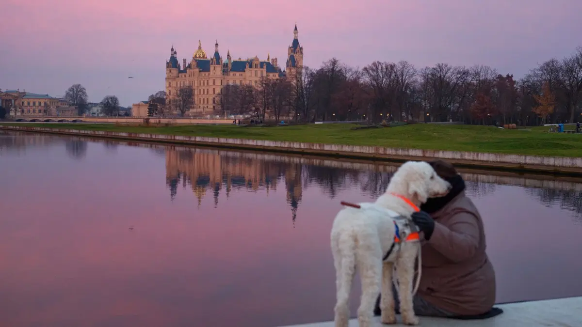 Das Kabinett von Mecklenburg-Vorpommern beschloss am Dienstag in Schwerin, die Maskenpflicht auf öffentlichen Plätzen zu erweitern und Schüler ab der 7. Klasse nach den Weihnachtsferien zunächst per Internet zu Hause zu unterrichten.
05.12.2020, Mecklenburg-Vorpommern, Schwerin: Eine Frau sitzt mit ihrem Hund bei Sonnenuntergang am Burgsee vor dem Schweriner Schloss. Foto: Gregor Fischer/dpa +++ dpa-Bildfunk +++