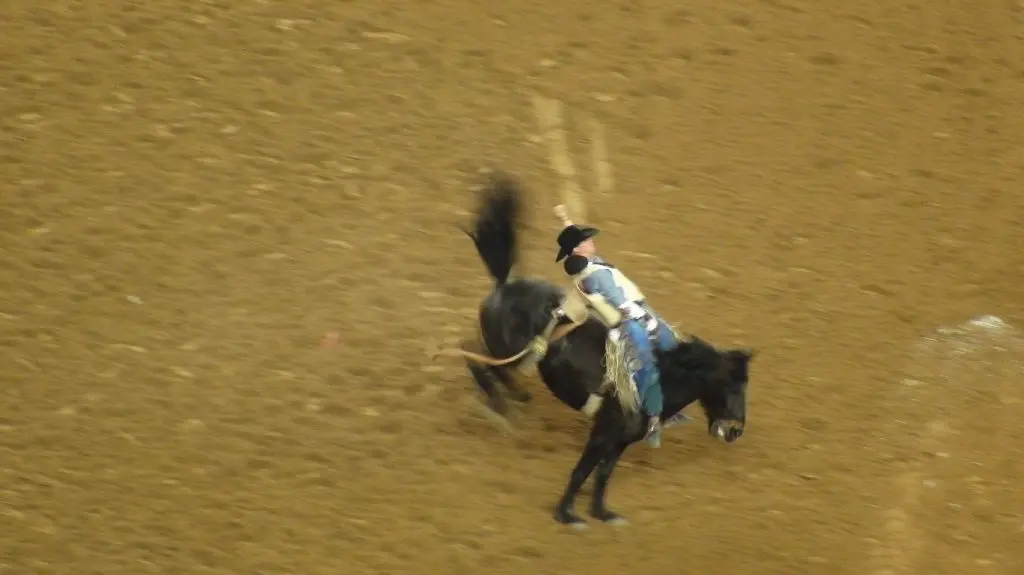 Spektakel Rodeo: Das Tragen von Boots und Cowboyhüten ist Lebensgefühl.