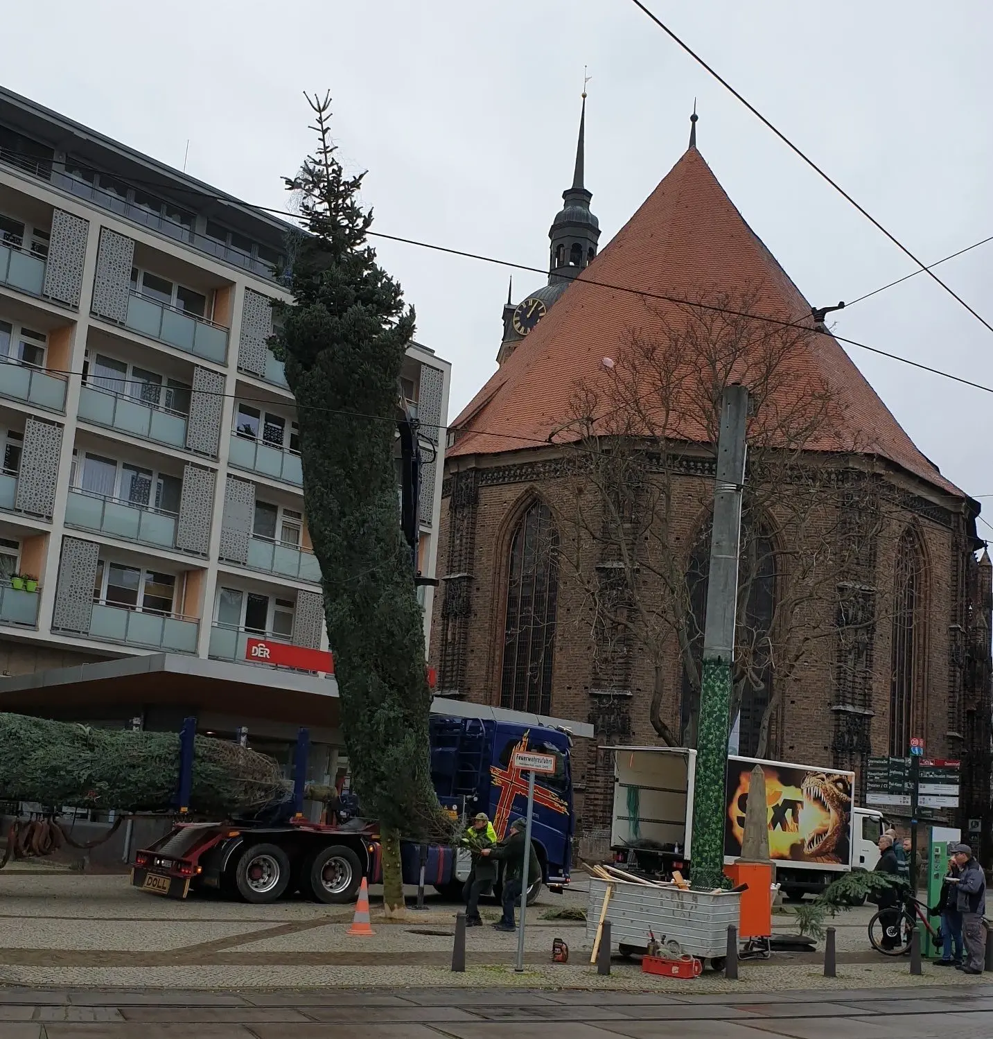 Eine Nordmanntanne vom Werderaner Tannenhof fürs Weihnachtsfest in der Brandenburger Neustadt.