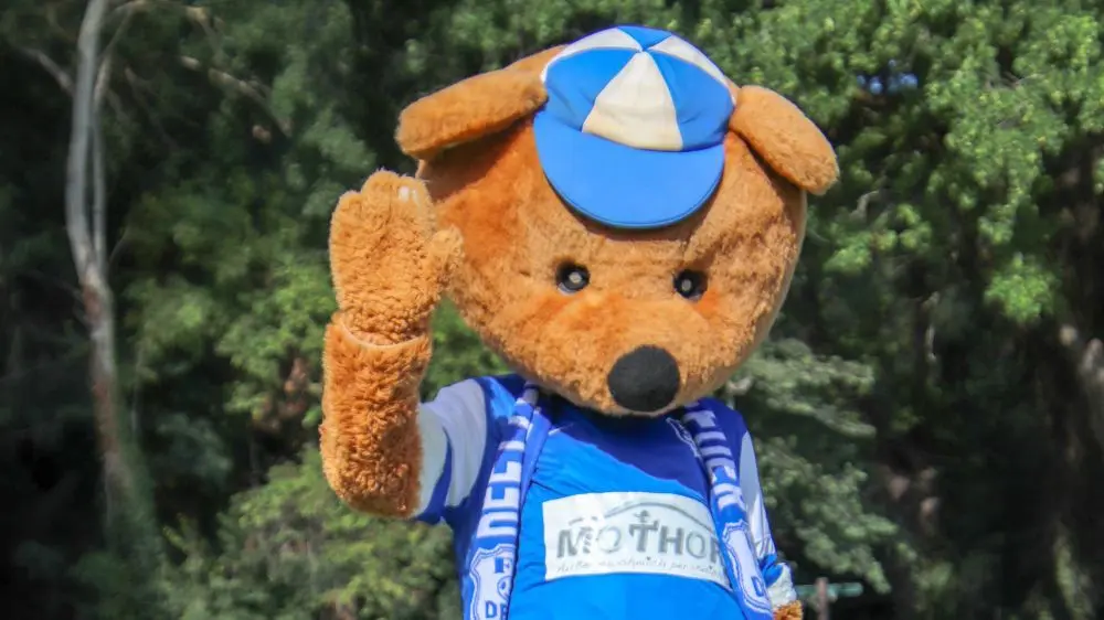 Maskottchen „Benno“ ist die Identifikationsfigur für den Verein und sorgt für Stimmung bei den Spielen und sonstigen Veranstaltungen des FC Deetz.