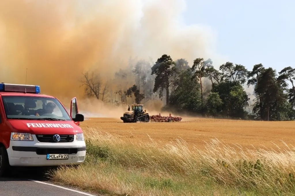 Immer mehr Großbrände: Beim Löschen eines Waldstücks zwischen Möglin und Batzlow Ende Juni waren 100 Einsatzkräfte mit 25 Fahrzeugen beteiligt, am gleichen Wochenende bei Lebus noch 60 Kräfte bei einem 40-Hektar-Feldbrand.