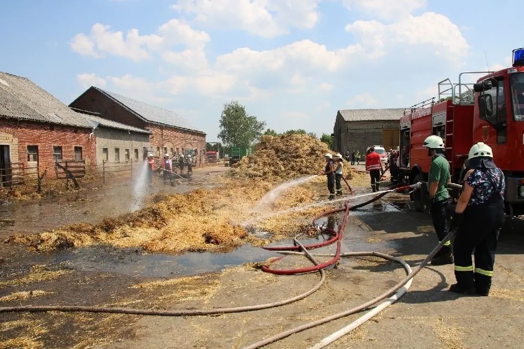 In Großmutz brannte es in einer Kälberzuchtanlage. Die Feuerwehrleute brachten 40 Tiere in Sicherheit.