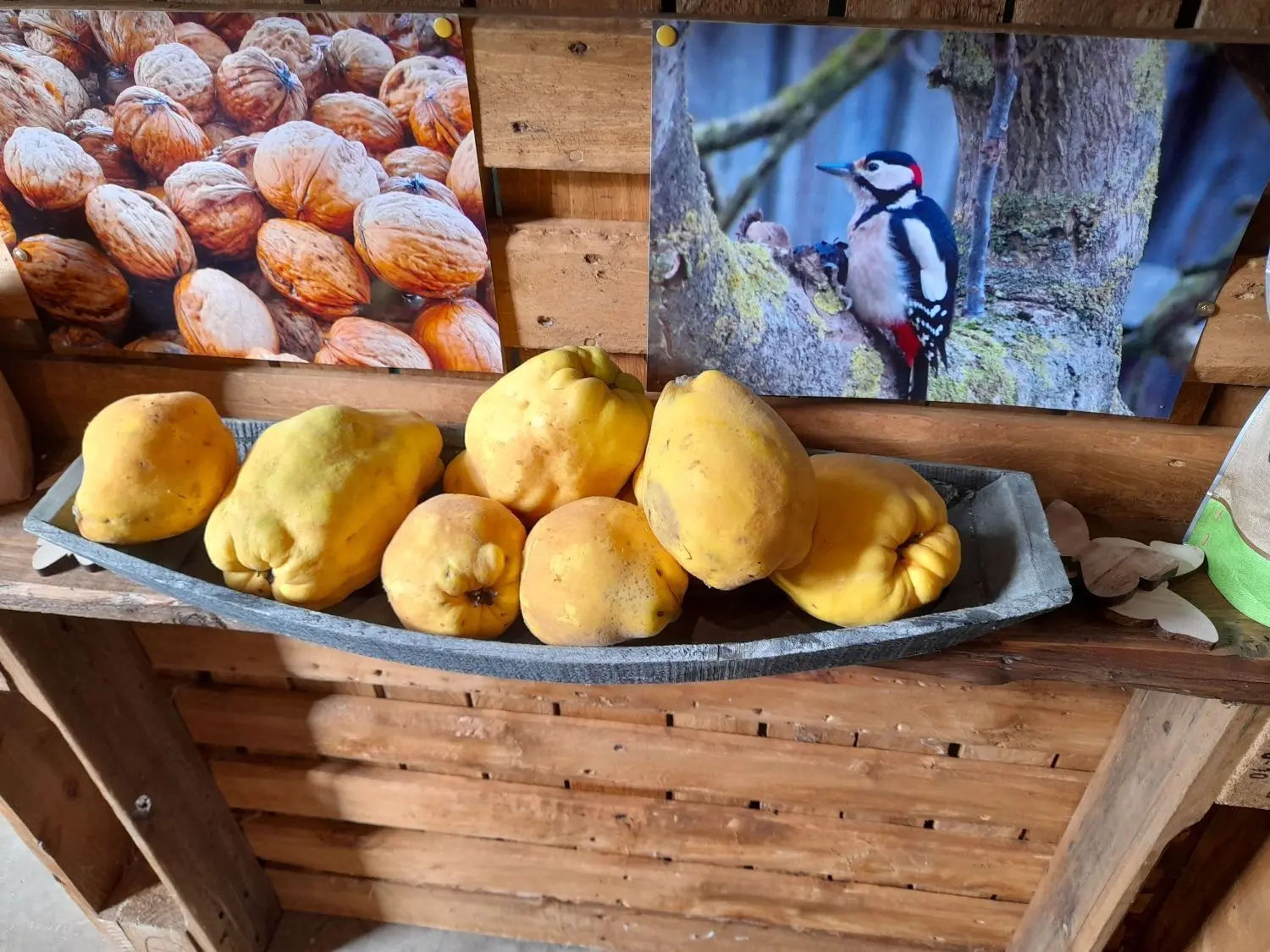 Im Hofladen duftet es im Herbst auch nach frischen Quitten.