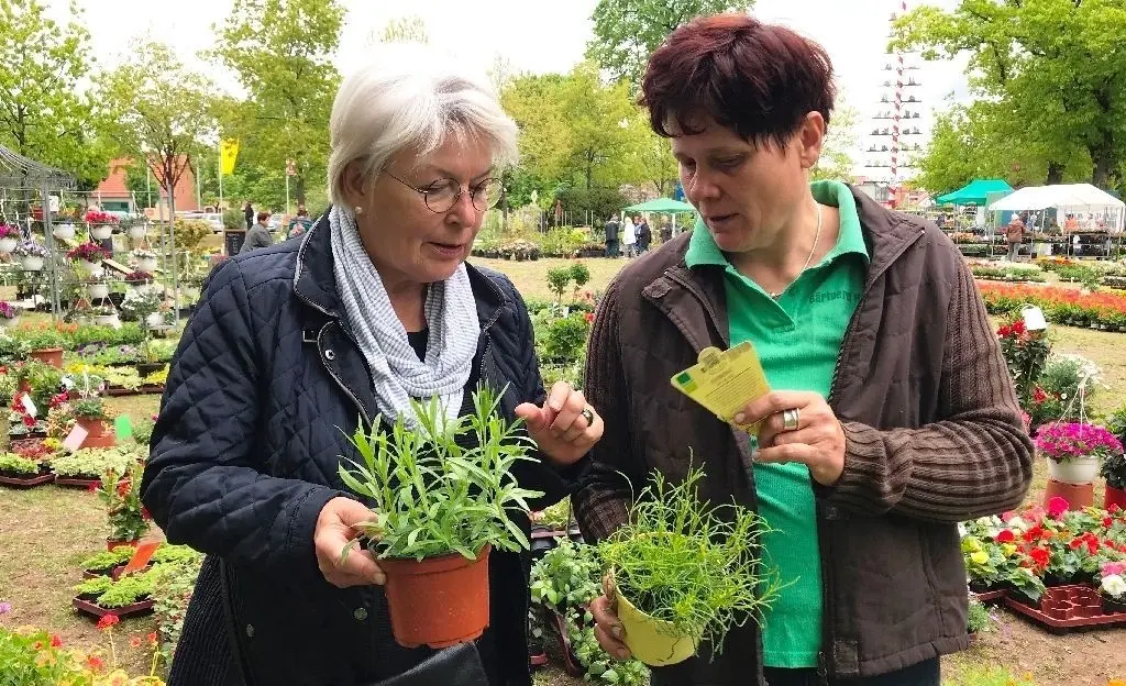 Beratung: Gartenfachfrau Beate Haeder (r) empfiehlt Besucherin Ute Schröder Olivenkraut und Estragon für den Garten.