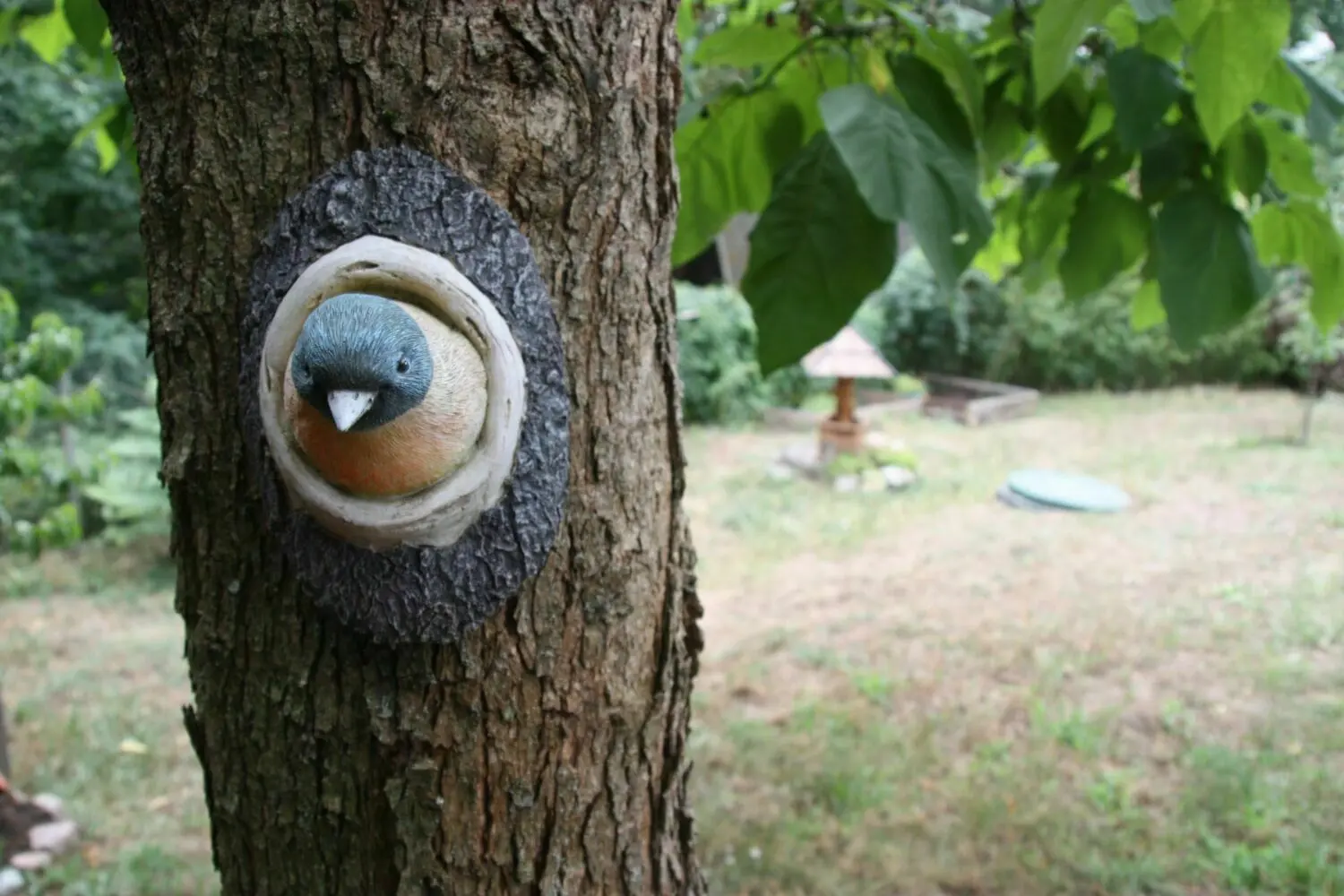 Naturnahe Gärten in Angermünde: Familie Lüdeking hat in Stolpe ein Grundstück am Hang in ein Naturparadies verwandelt. Überall entdeckt man kleine Hingucker.