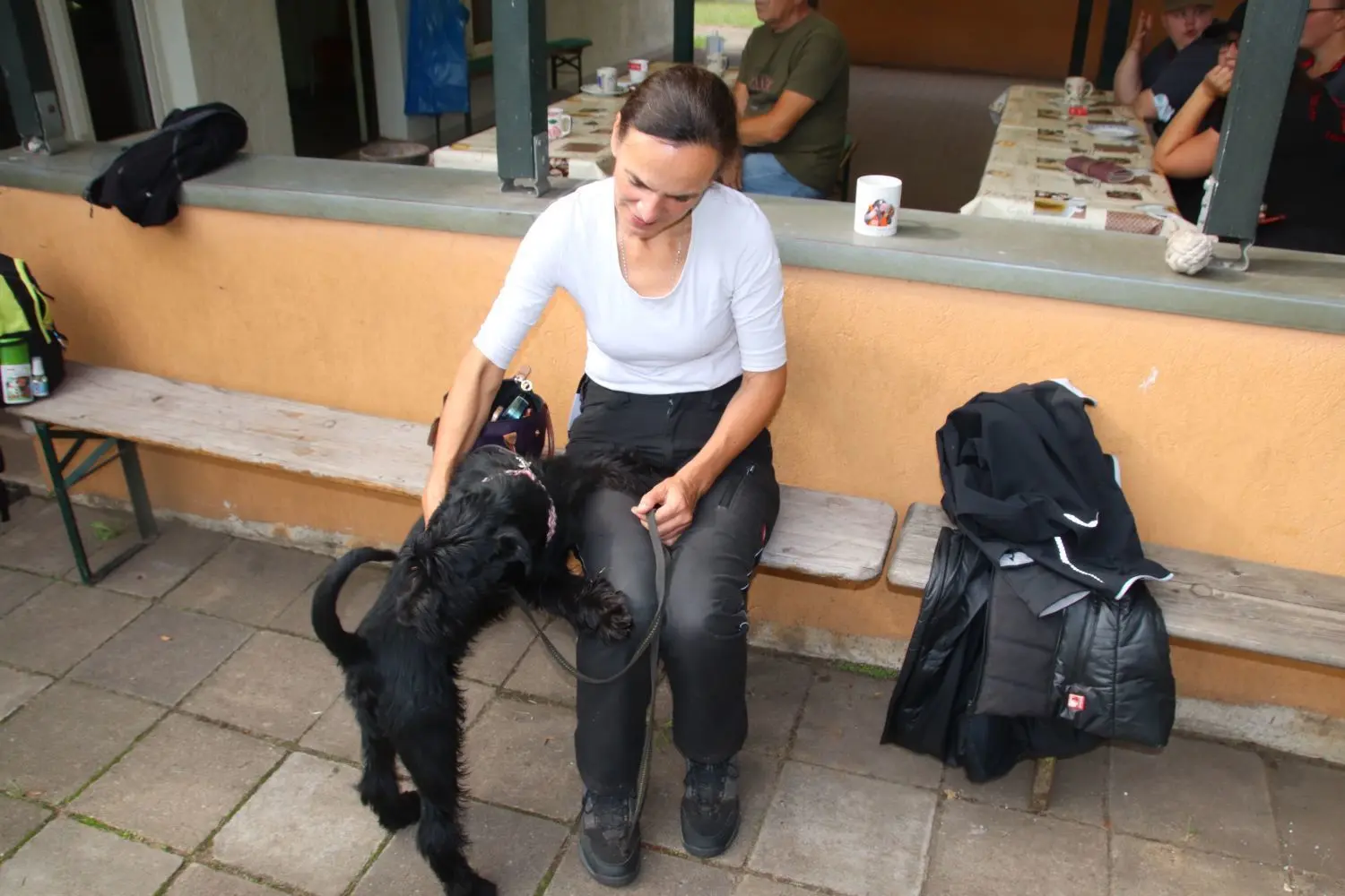 Claudia Ringwald aus Wandlitz mit ihrem jungen Schnauzer Hudson Hawk ot Bartsutsy