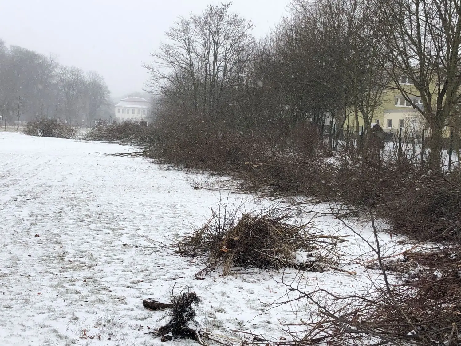 Das Reisig wird geschreddert und um die Sträucher und Bäume als Mulch verteilt.