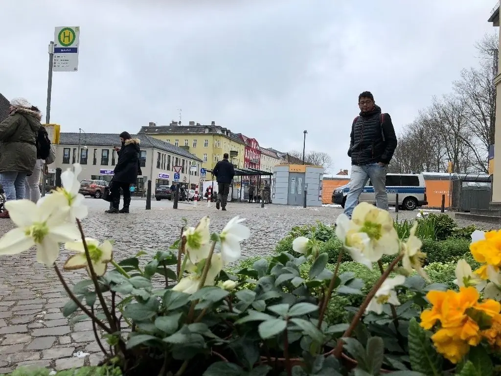 Blühende Landschaft: Schönheiten sind derzeit nur vor dem Blumenladen im Bahnhofsgebäude zu finden. Wann der Vorplatz hübsch wird, ist derzeit noch offen.
