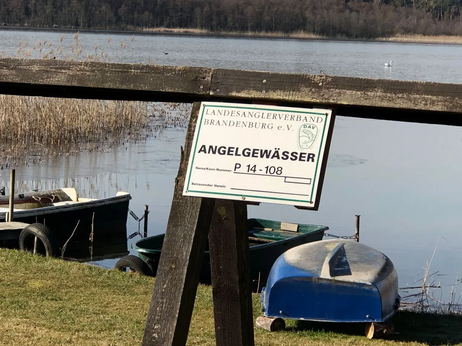 Das Angelgewässer Dreetzsee ist 140 Hektar groß. Er ist nur 1,50 Meter tief und trüb und dadurch ein ideales Zandergebiet.