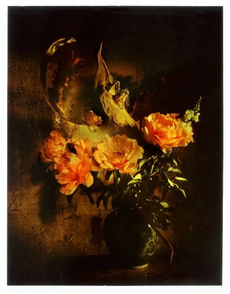 Pfingstrosen Polaroide, 2013, von Leo Seidel aus: Leo Seidel: „Traumsequenzen. Polaroidarbeiten“, Edition Braus, 128 Seiten, 24,95 Euro