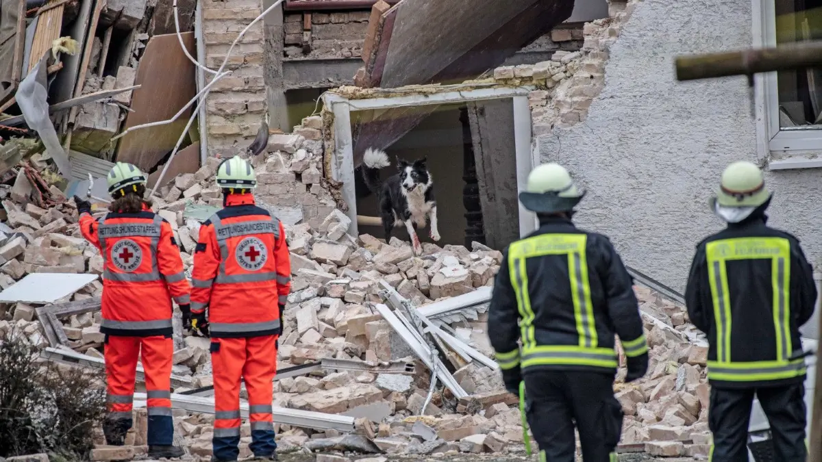 Ein Suchhund des DRK war in den Trümmern des durch eine Explosion zerstörten Hauses im Einsatz.
07.03.2020, Brandenburg, Hohen Neuendorf: Ein Suchhund des DRK ist in den Trümmern eines durch eine Explosion zerstörten Hauses im Einsatz. Beim dem Teileinsturz des Mehrfamilienhauses ist am Samstagmorgen ein Mensch ums Leben gekommen, drei weitere wurden schwer verletzt. Wie ein Sprecher der Katastrophenschutz- und Rettungsdienstleitstelle Eberswalde mitteilte, wurden zwei Personen am Mittag noch vermisst. Foto: Paul Zinken/dpa +++ dpa-Bildfunk +++