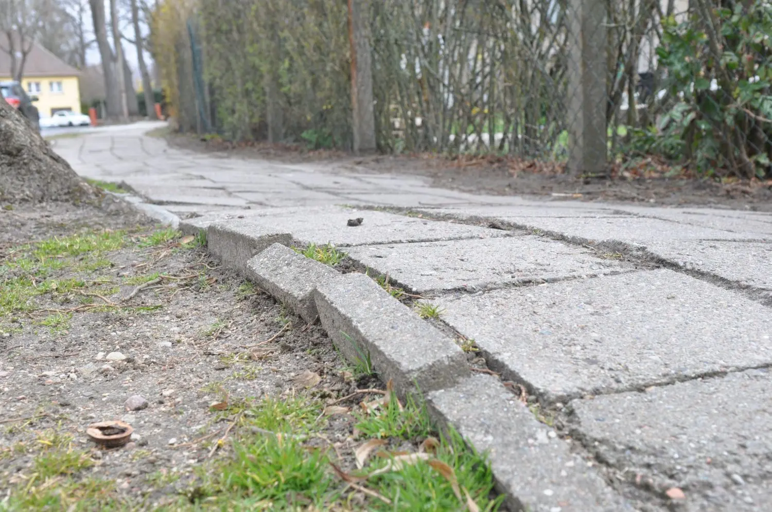 Stolperfallen auf Schritt und Tritt: Der Gehweg entlang der Koliner Straße in Gransee soll erneuert werden. ⇥