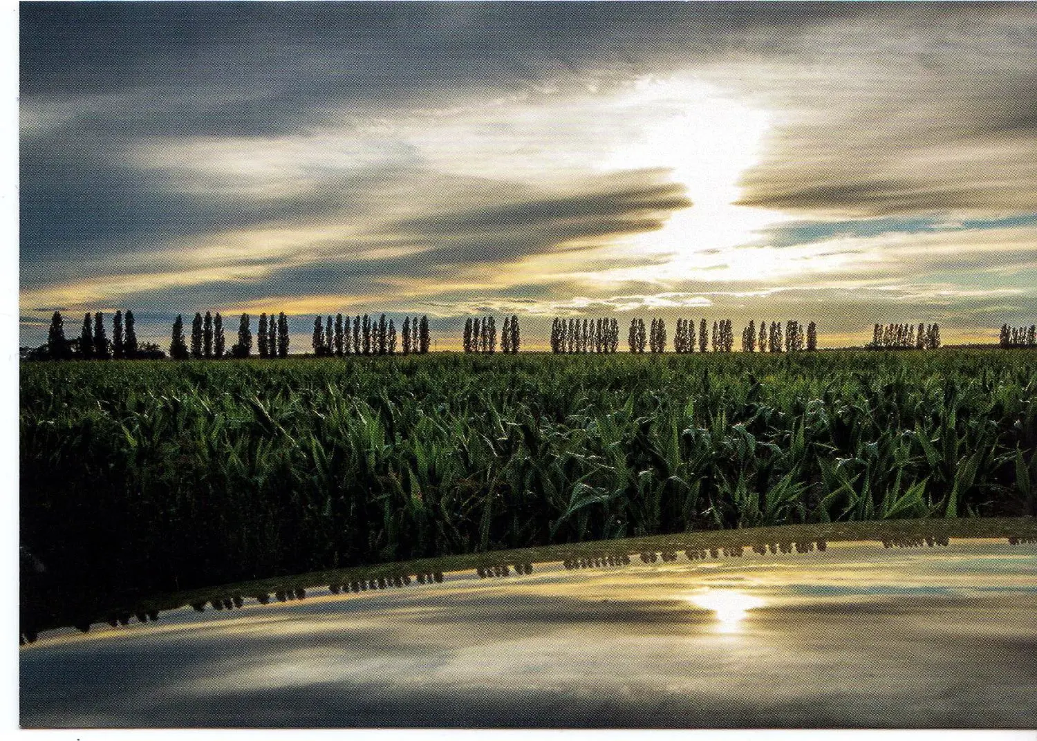 Von Sylke Hülsebeck stammt das Foto der Allee zwischen Nietwerder und Radensleben.⇥