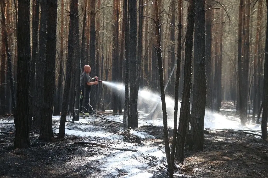 Am Donnerstagmorgen geht der Einsatz weiter: Auf den Waldboden in Marienwerder wird flächendeckend ein Schaum-Wasser-Gemisch aufgebracht. Das dringt besser in den trockenen Boden ein und erreicht Glutnester unter der Oberschicht.