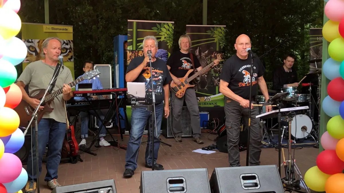 Rockige Klänge: Die Legatos spielen zur Eröffnung des Erlebnispfades im Zoo Eberswalde nicht nur Songs von den Rolling Stones. Weil schon zweimal die Tigerradtour ausgefallen ist, durften sie am 30. Juli die Gäste unterhalten.
Legatos spielen zur Eröffnung des Erlebnispfades im Zoo Eberswalde rockige Musik von den Stones u.a.