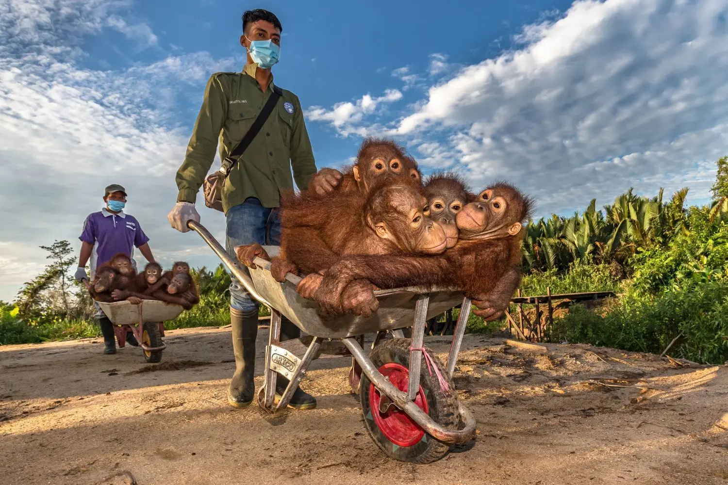Auf Borneo hat Robert Marc Lehmann eine Orang-Utan-„Schule“ besucht.