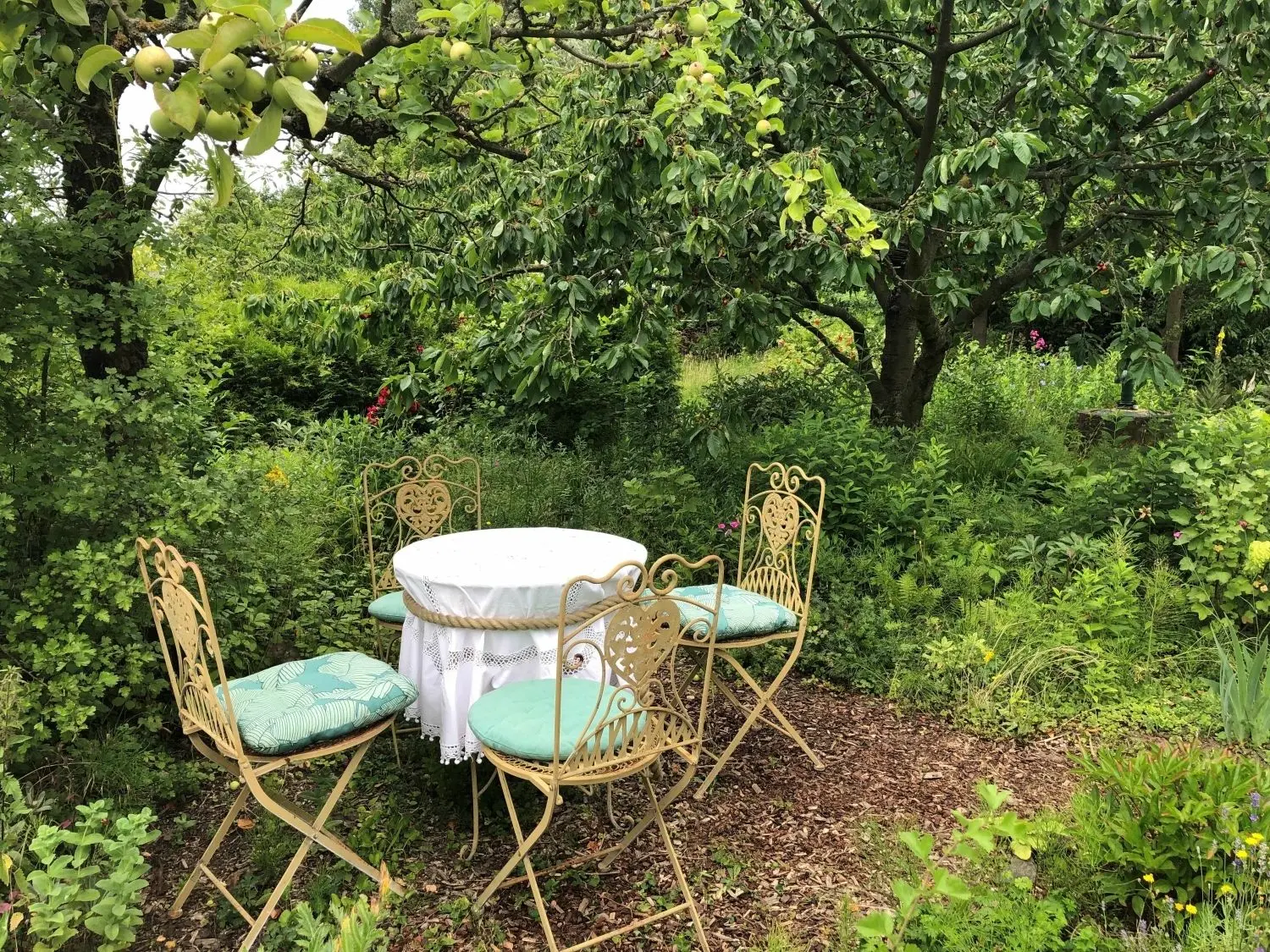 Natur und Garten Radieschen in Angermünde statt Palmen auf Mallorca