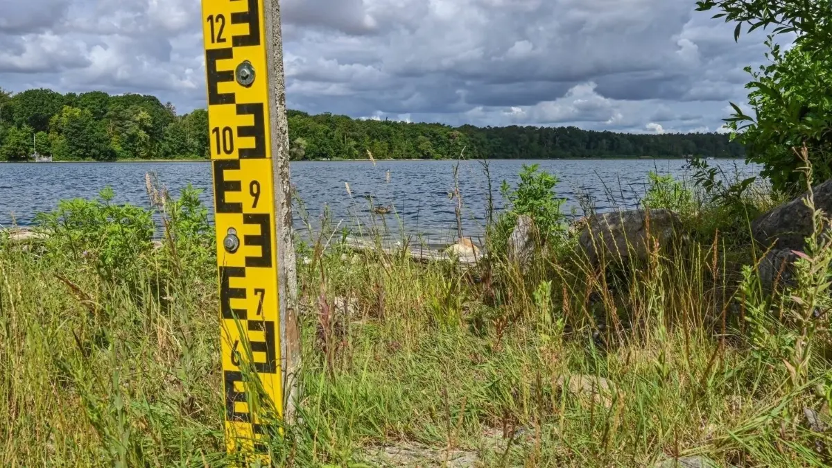 Der Straussee im Sommer 2022: Seit Jahren sinkt der Pegel, sodass mitunter die Pegelanzeige für den Wasserstand auf dem Trockenen steht. Die Bürgermeisterin wünscht sich mehr Engagement vom Wasserverband Strausberg-Erkner (WSE) für das Problem.
Seit Jahren sinkt der Pegel des Straussees östlich von Berlin immer weiter. Sogar die Pegelanzeige für den Wasserstand steht mittlerweile auf dem Trockenen. (zu dpa "Dürres Deutschland - Geht dem Land das Wasser aus?") +++ dpa-Bildfunk +++