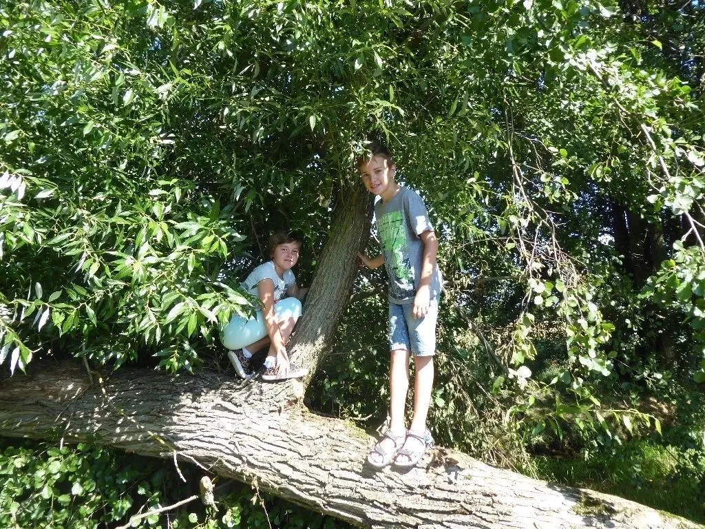 Lisa und Marcel, zu Gast bei Oma, testen schon mal den Stamm des umgestürzten Baumes, der von Roland Haag über dem Bach liegengelassen wurde.Fotos: E. Loth