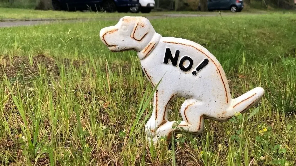 Am Samstagnachmittag kam es am Schifferring in Brandenburg Nord zu einer Auseinandersetzung zwischen einem Hundehalter und Gartenfreunden.
Schmuckbild aus Vehlefanz Wohlfühlen in Hundekot