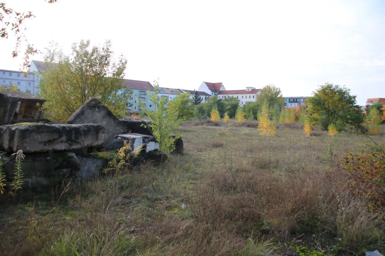 Auf der seit vielen Jahren ungenutzten Fläche an der Rungestraße soll ein provisorischer Parkplatz entstehen.