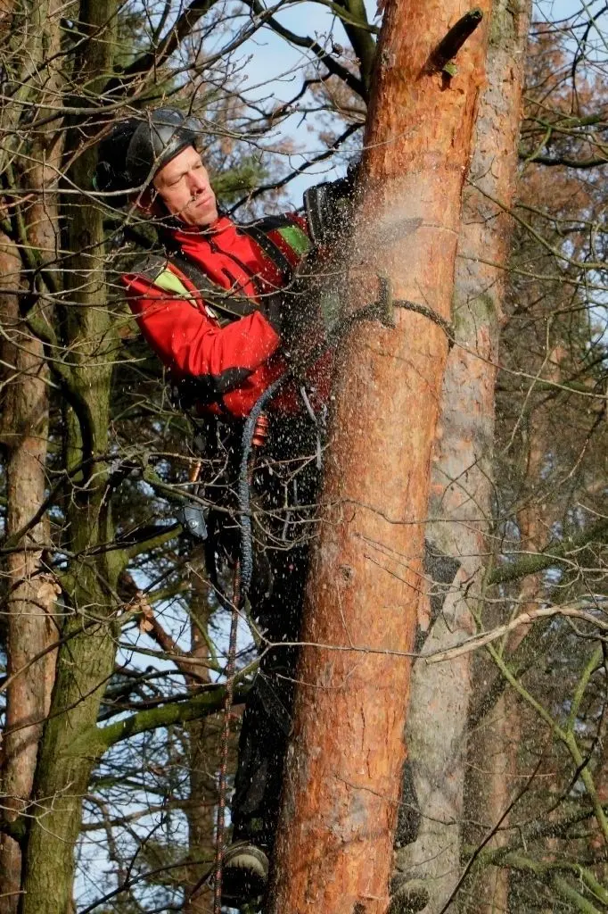 Stefan Noppens ist Leiter der Tauchergruppe. Hier verschneidet er Bäume, die die Sicht auf einer nahen Straße stören könnten.