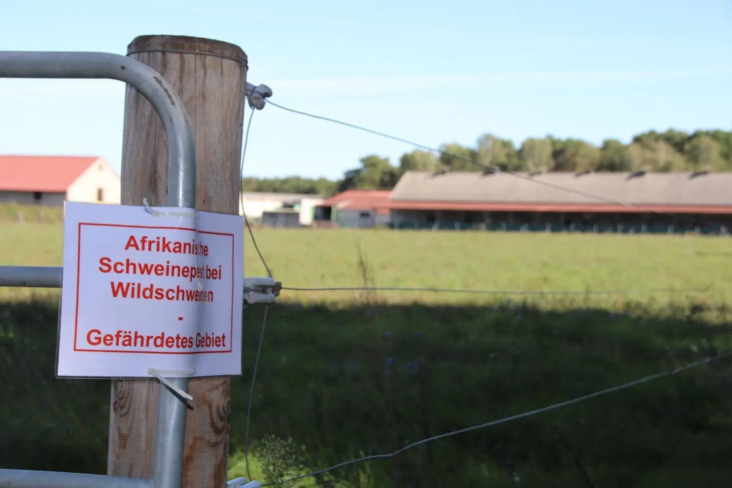 Ausweisung des gefährdeten Gebietes am Neuzeller Landweg wegen der Afrikanischen Schweinepest. Wenige Meter davon entfernt beginnt das Kerngebiet.