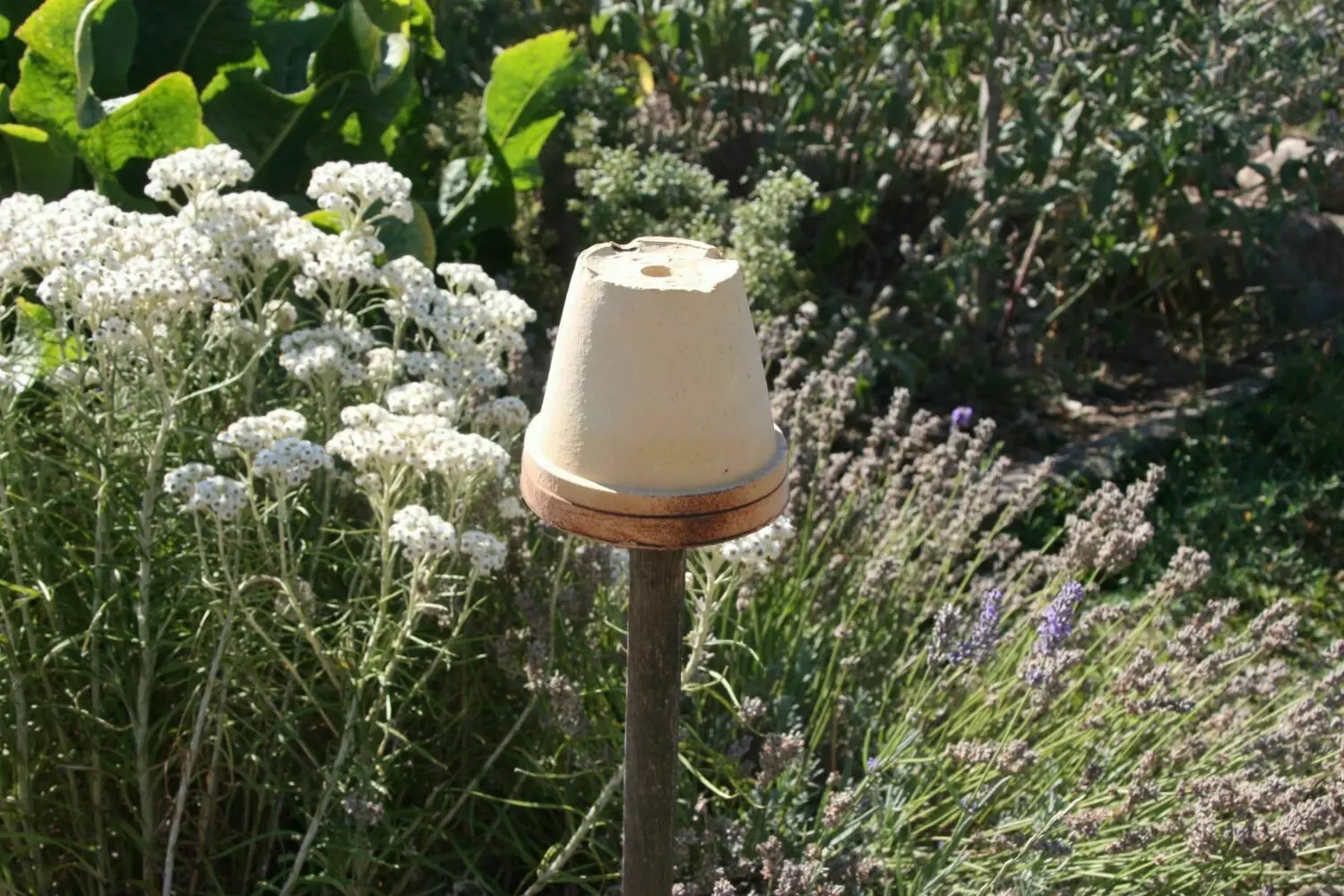 Garten in Angermünde Die schönsten Gärten der Uckermark so können