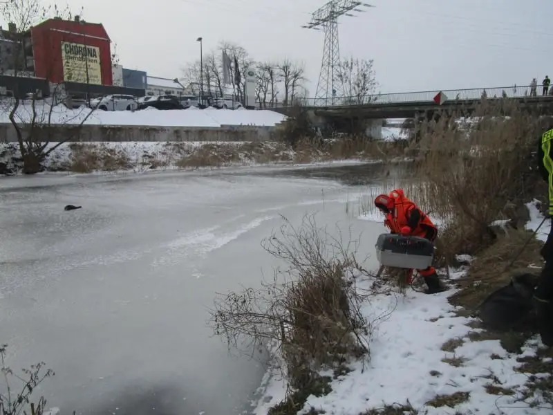 Hilfloses Bündel: Ein Kormoran ist nahe der Wilhelmsbrücke in Eberswalde eingefroren.