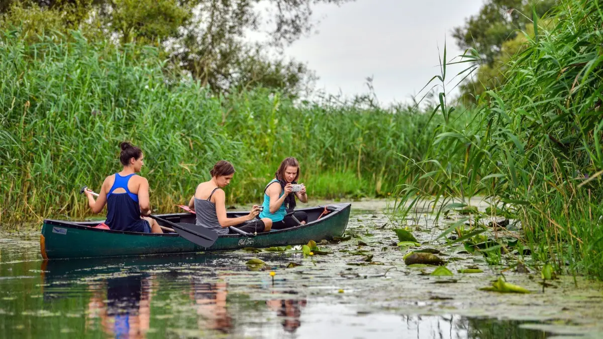 Kanufahren begeistert Sportfreaks und Erholungssuchende gleichermaßen.
17.07.2018, Brandenburg, Schwedt: Besucher sind bei einer geführten Tour zum Start der Kanusaison im Nationalpark Unteres Odertal unterwegs. Nach dem Ende der Brutzeit vieler Vogelarten hat im Nationalpark Unteres Odertal die Kanusaison begonnen. Bis zum 14. November können Besucher bei geführten Exkursionen auf drei Strecken die Wasserwelt der Polderlandschaft in der Uckermark erkunden. Die zertifizierten Kanuführer erklären auf den Touren die Besonderheiten und die Vielfalt von Flora und Fauna in Deutschlands einzigem Auen-Nationalpark. Foto: Patrick Pleul/dpa-Zentralbild/ZB - Honorarfrei nur für Bezieher des Dienstes ZB-Funkregio Ost +++ ZB-FUNKREGIO OST +++