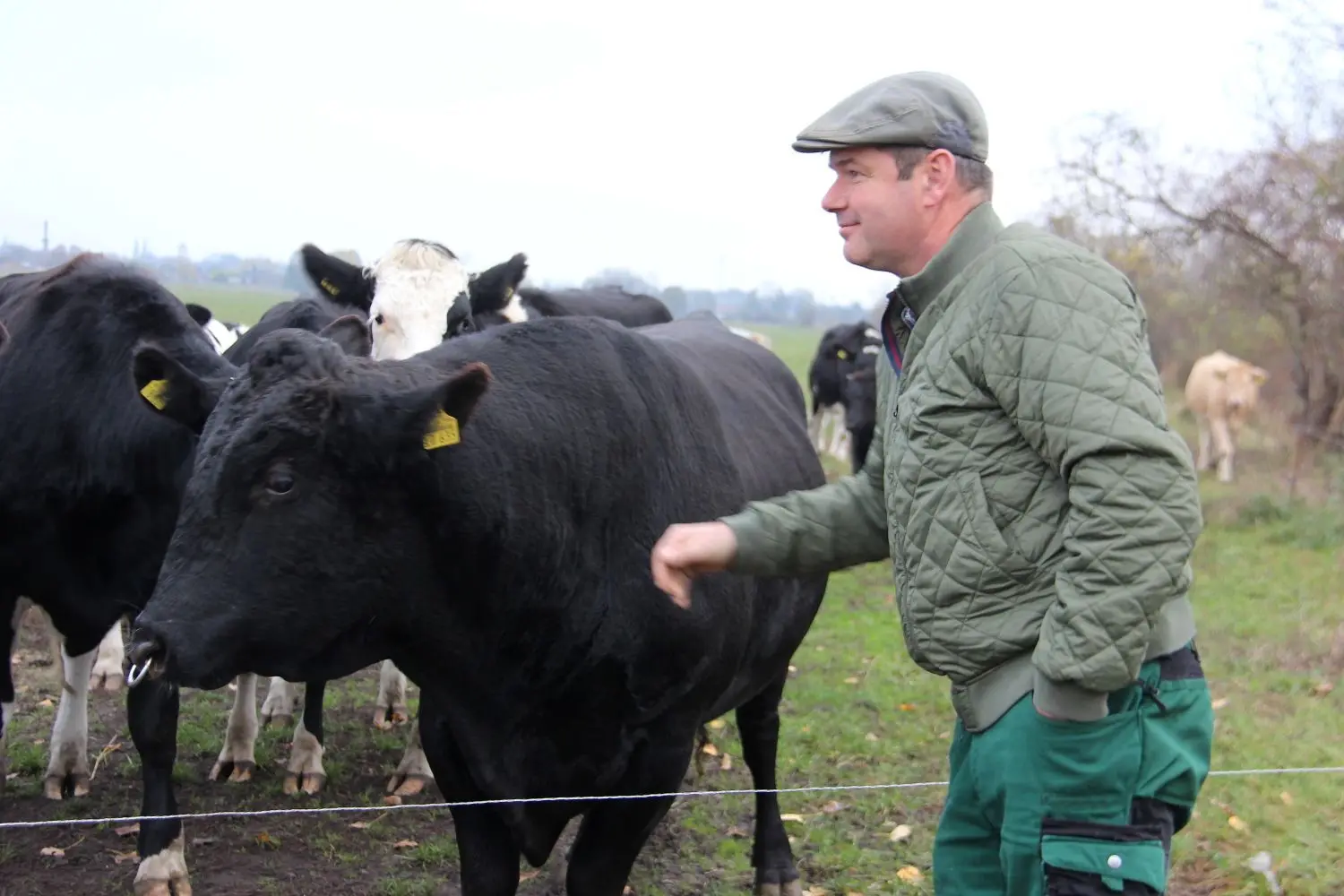 Ganz schön eigensinnig ist dieser Wagyu-Bulle, der sich dann aber doch von Besitzer Guido Leinitz kraulen lässt.⇥