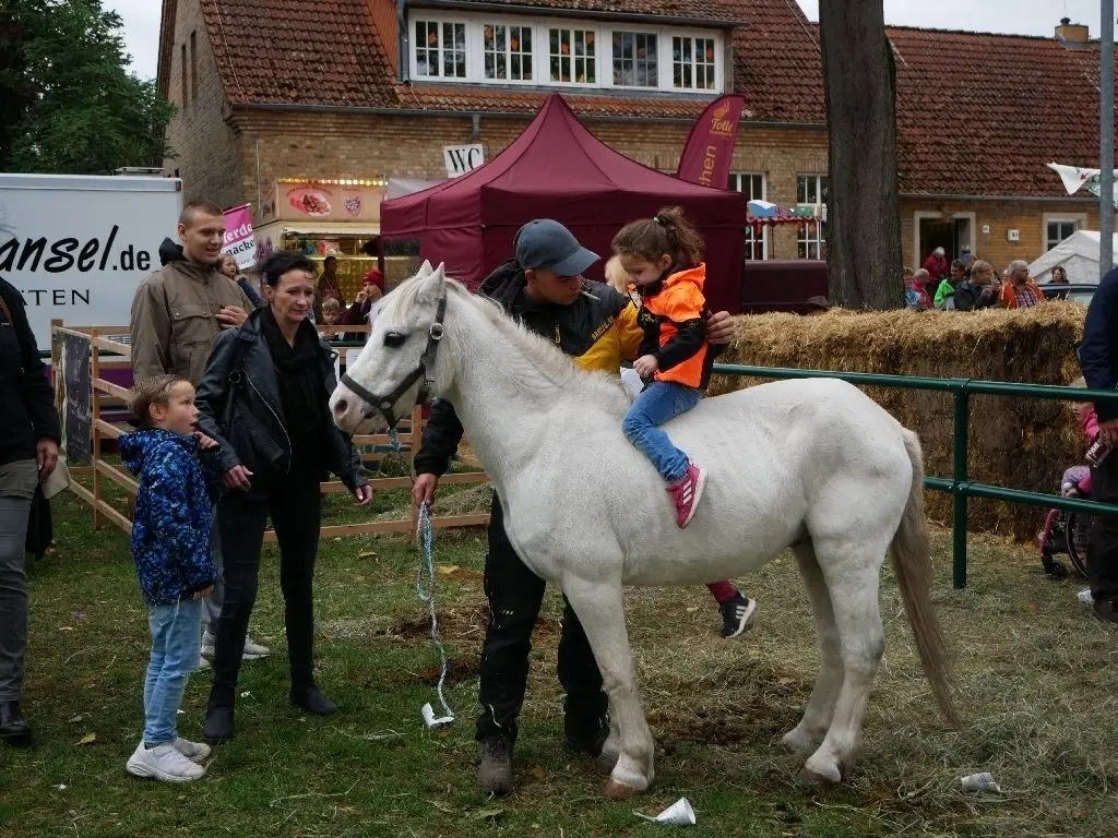 Ehrenrunde gedreht: Sehr begehrt war vor allem bei den Kindern das Reiten rund um die Pferdekoppel.