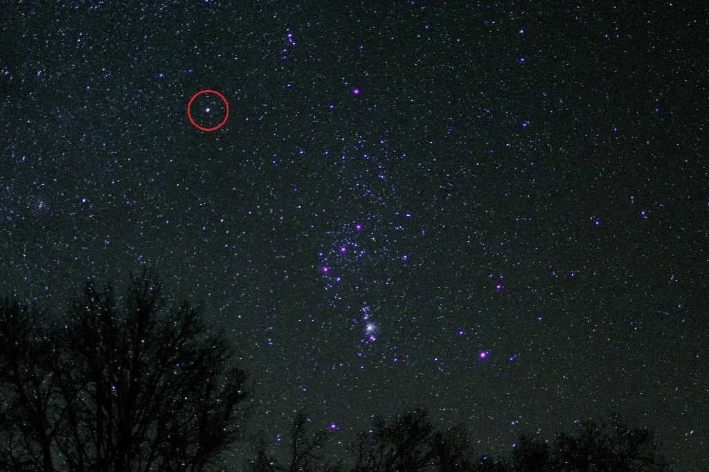 Im roten Kreis zu sehen ist Beteigeuze, der das linke obere Ende des Sternbilds Orion bildet.