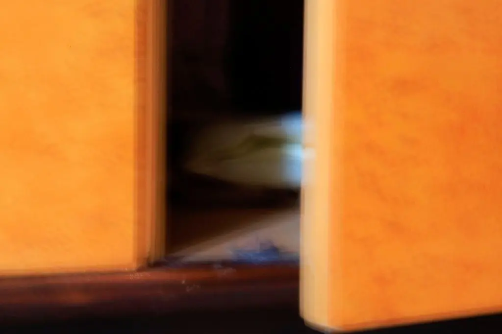 Hort des Verborgenen: der Kleiderschrank