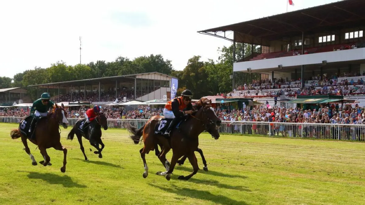Rennsport vor maroden Tribünen? Viele denkmalgeschützte Gebäude der Rennbahn sind sanierungsbedürftig.
September 2016 / Rennbahn Hoppegarten