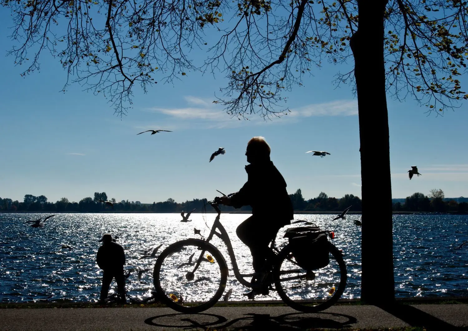 Ein Ausflug mit dem Fahrrad bietet Touristen in der Uckermark ein Erlebnis in der vielfältigen Natur mit Seen, Flüssen, Wiesen und Wäldern.