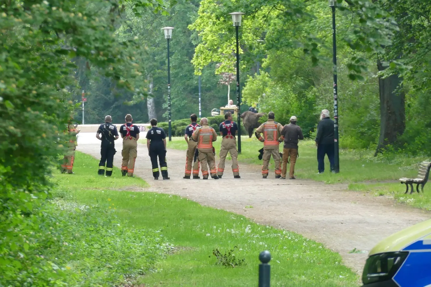 Einsatzkräfte von Feuerwehr und Polizei hatten das Tier in sicherer Entfernung eingekreist, damit es nicht in die Stadt gelangt und um Schaulustige zu schützen.