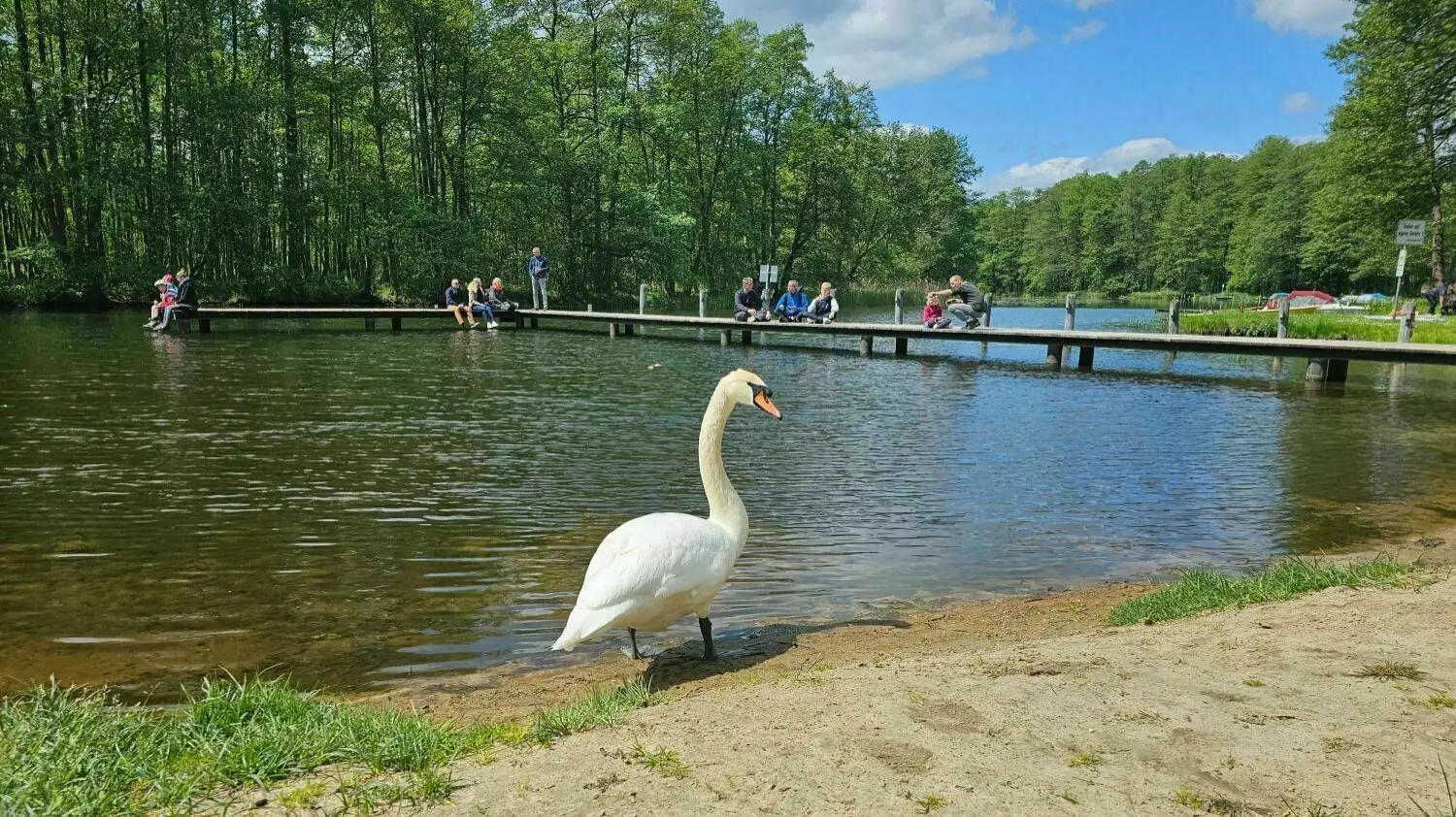 Baden bei Fürstenwalde Rettungsschwimmer am Strand von Berkenbrück