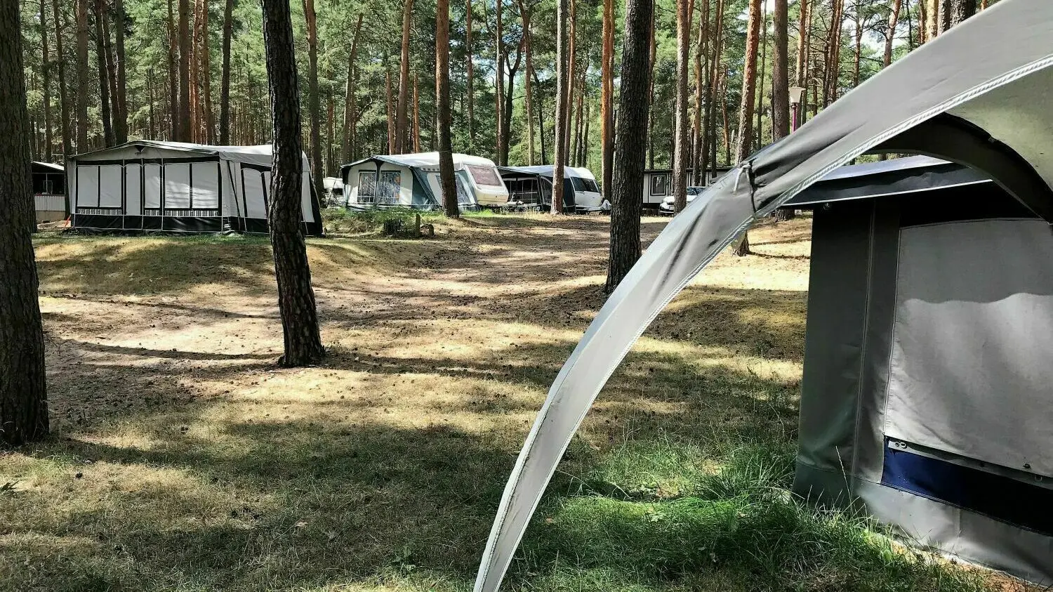 Campen mitten im Wald: Unter märkischen Kiefern stehen Wohnwagen und Zelte am Schervenzsee idyllisch im Schatten.