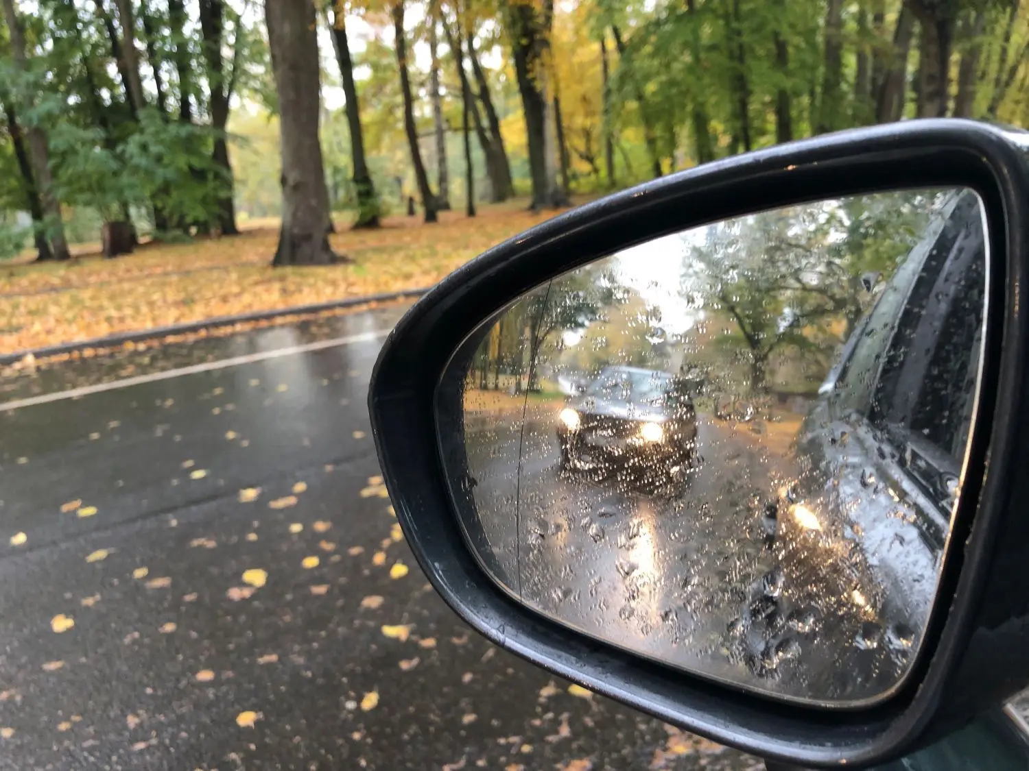 Auf Höhe des Waldsees in Hermsdorf wäre genügend Platz für einen Schnellradweg.