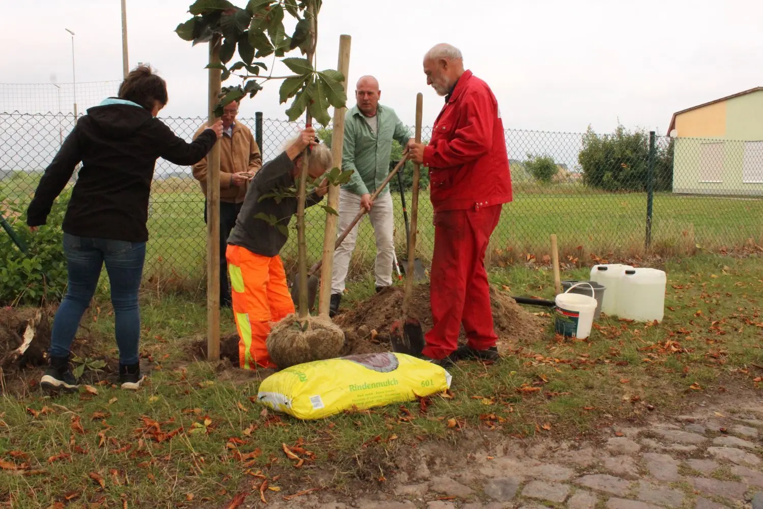 Einheitsbuddeln Kremmen hier in Sommerfeld