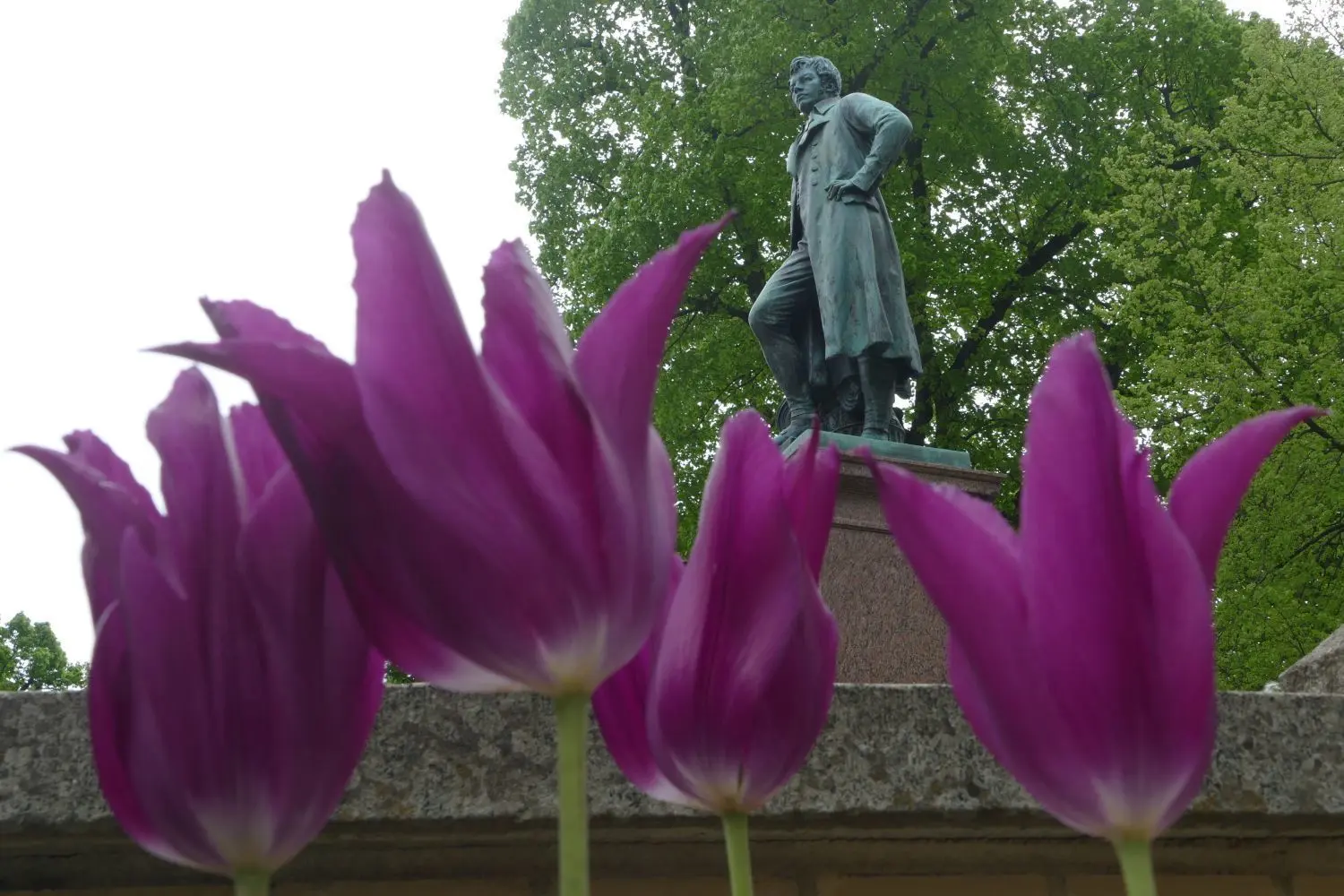 Tulpen am Schinkeldenkmal in Neuruppin. Es wurde 1998 im Zuge der Neugestaltung der Stadtmitte erneuert.