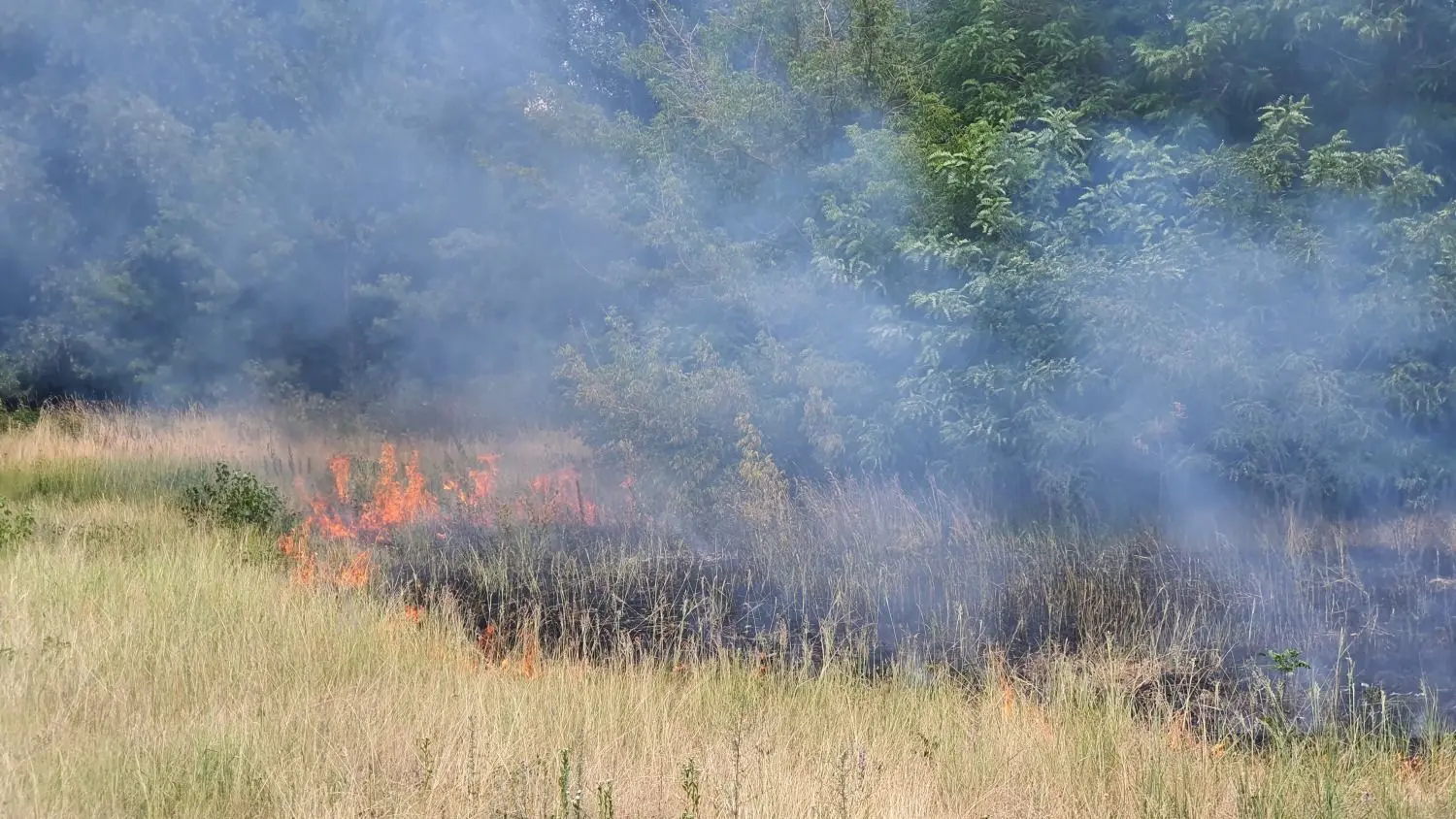 Feuer an der Potsdamer Straße in Brandenburg an der Havel.