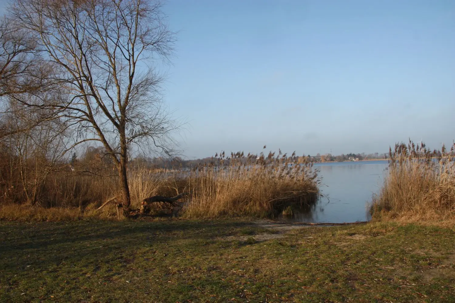 Die Badestelle am Mündesee in Angermünde: Wird sie bald zur Partymeile für junge Leute?