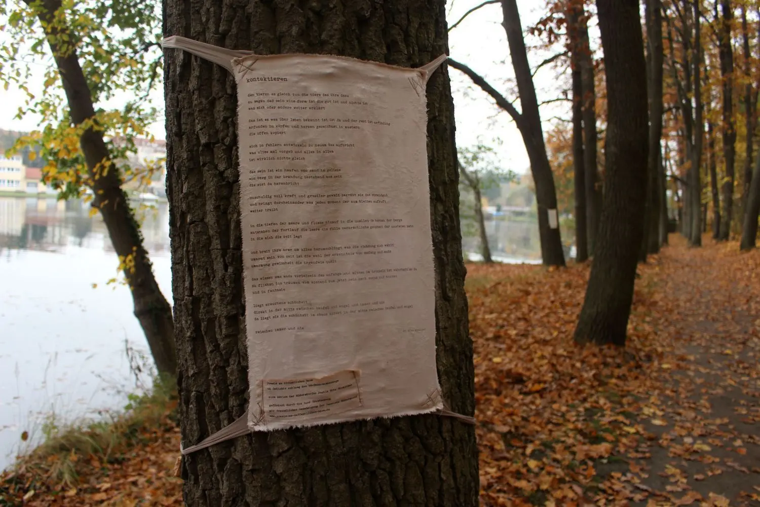 Ob nur wenige Worte in drei Zeilen oder längere Werke wie dieses – die Gedichte wollen zum Innehalten und Nachdenken anregen.
